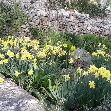 בית נופש Esperanca וולי לוסיניי