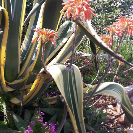 בית נופש Esperanca *