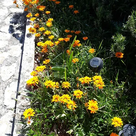 בית נופש Esperanca