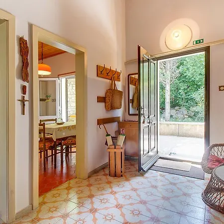 Esperanca וולי לוסיניי