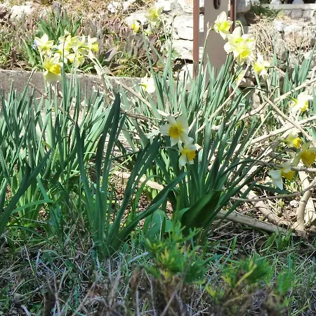 בית נופש Esperanca