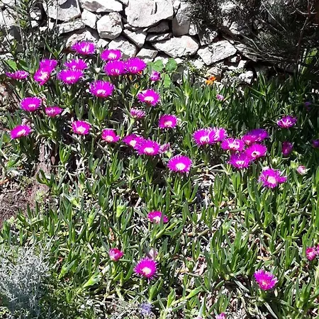 בית נופש Esperanca