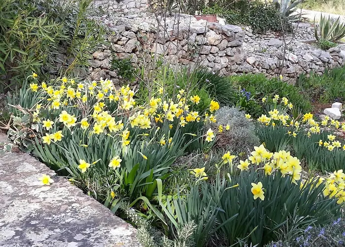 Casa vacanze Esperanca Lussingrande